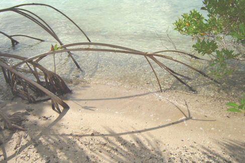 25_1beachsand