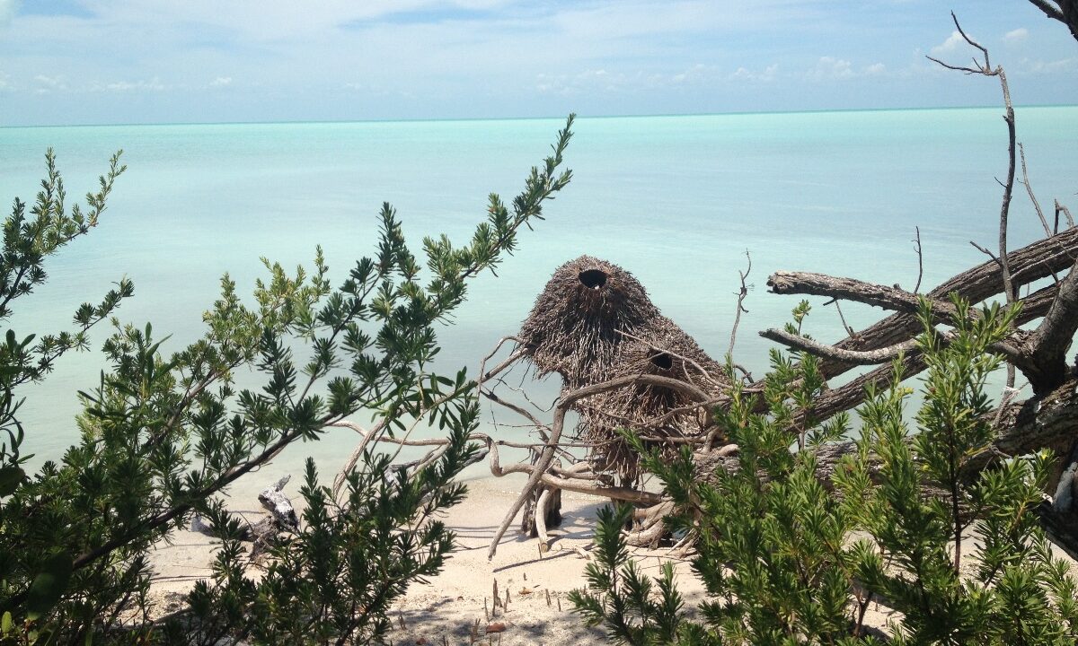 25_3viewofbluesea