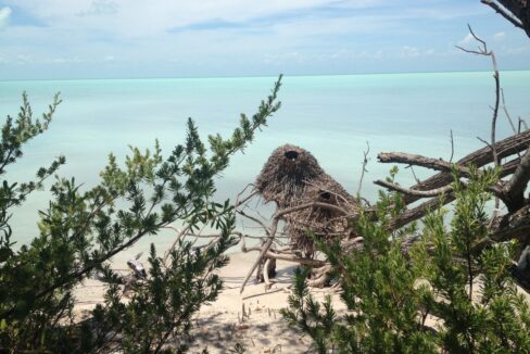 25_3viewofbluesea