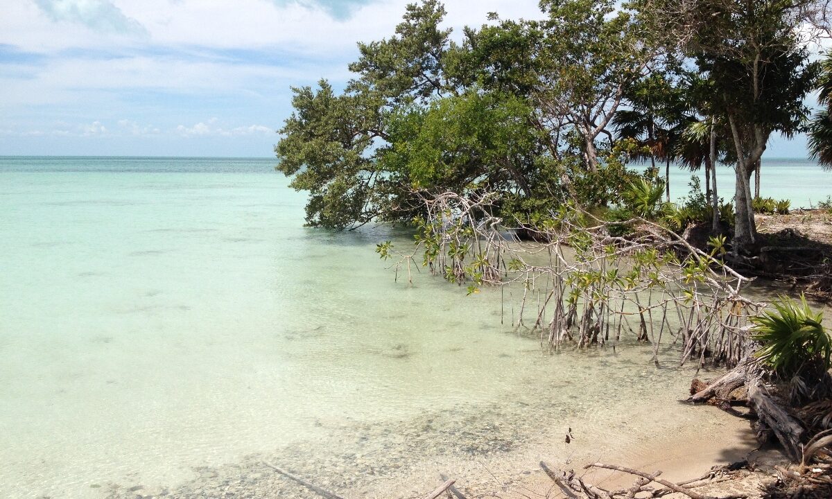 25_4beachside