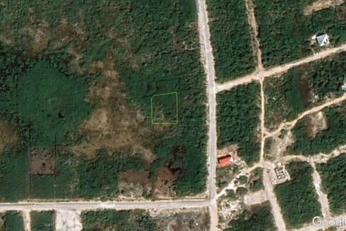 2812_100GoogleEarthClose