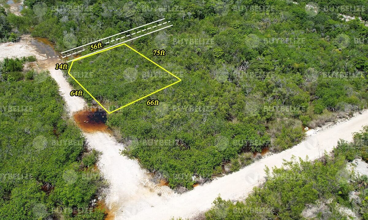 2830_2DroneShot2