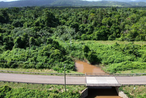 3-131-acres-of-jungle