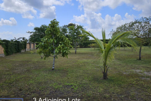 3-Adjoining-Lots-copy-835x467