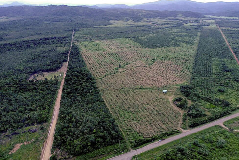 3-belize-farm-for-sale