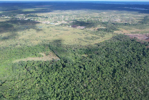 3-jungle-parcel-southern-belize-sale