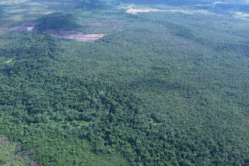 3-real-estate-belize-97-acres-of-jungle