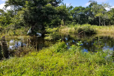 310_520Lagoon