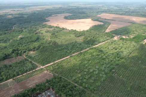 44-acres-farm-jungle-for-sale-belize