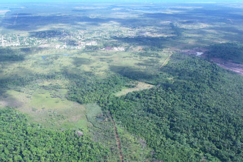 5-97-acres-of-jungle-for-sale