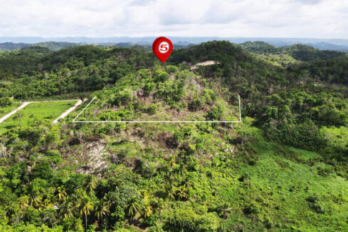 5-Acres-Hilltop-Property-For-Sale-copy-835x467