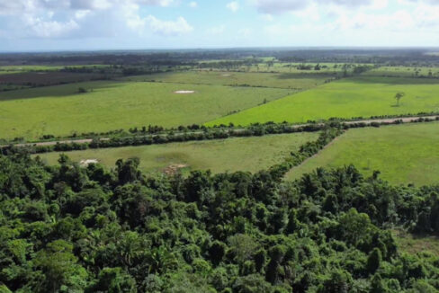 5-belize-jungle-for-sale-131-acres