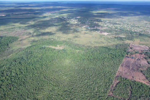 5-jungle-land-for-sale-belize