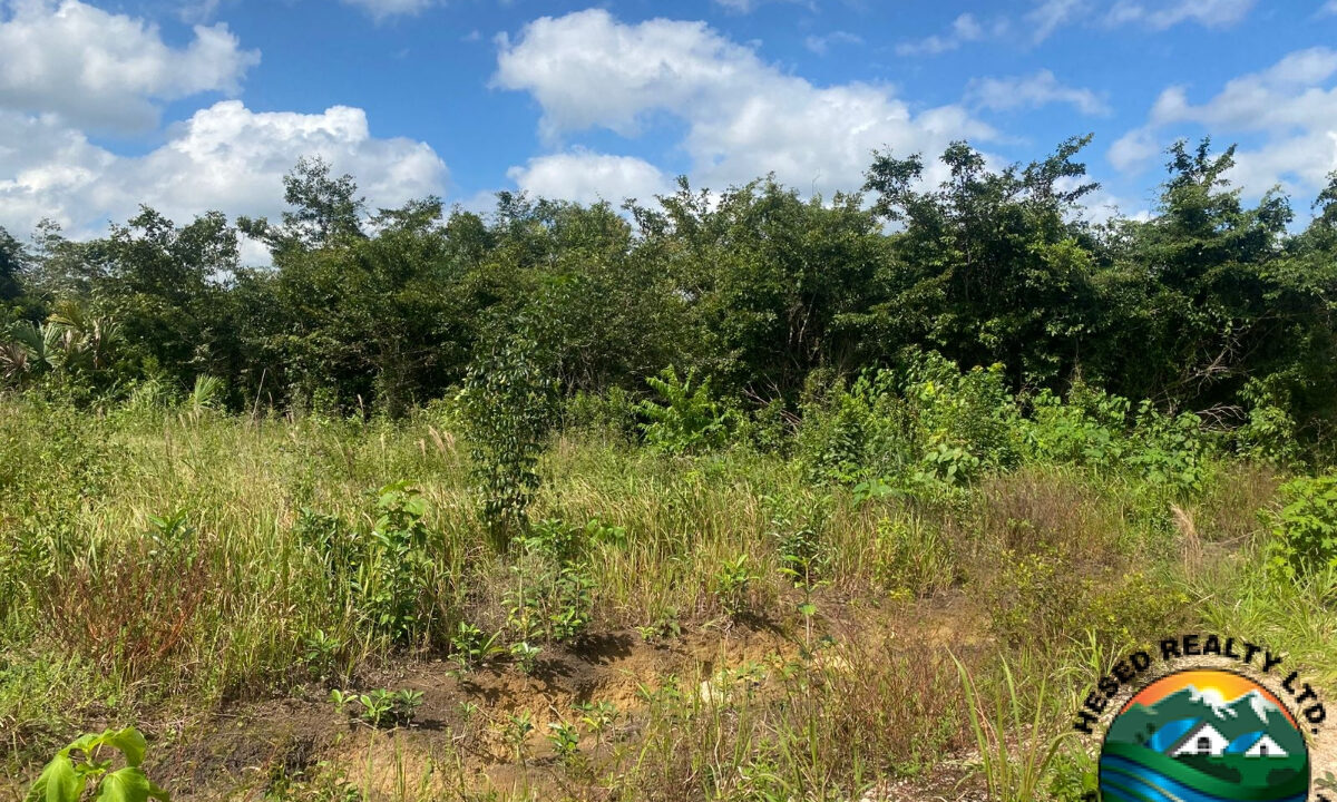 5.58-acre