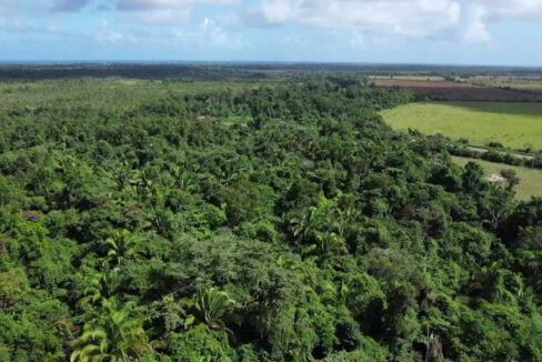 6-belize-acreage-for-sale