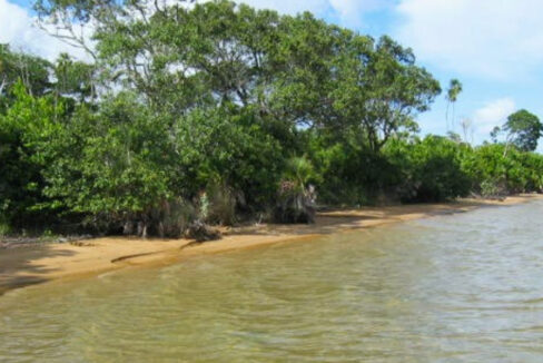 7-100-acre-property-for-sale-belize