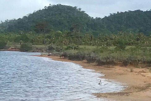 8-property-for-sale-100-acres