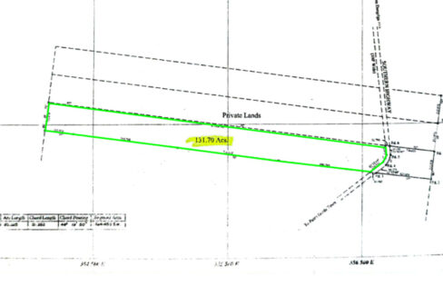 8-survey-map-of-belize-jungle