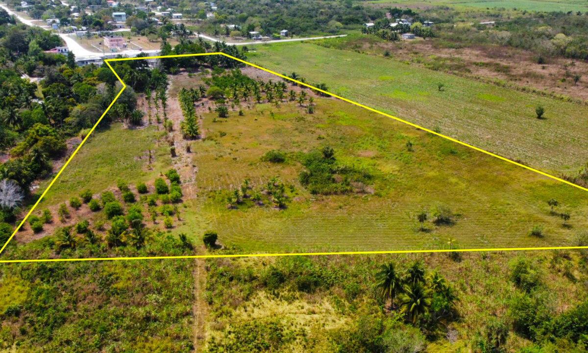 Aerial_20zhao_2024mls