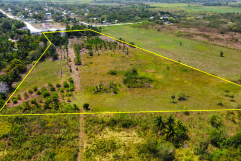Aerial_20zhao_2024mls