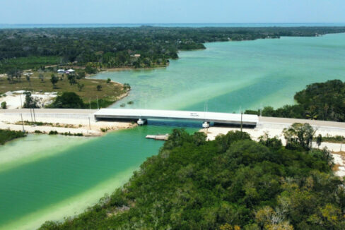 BRIDGE_20MAR_202024x_20mls