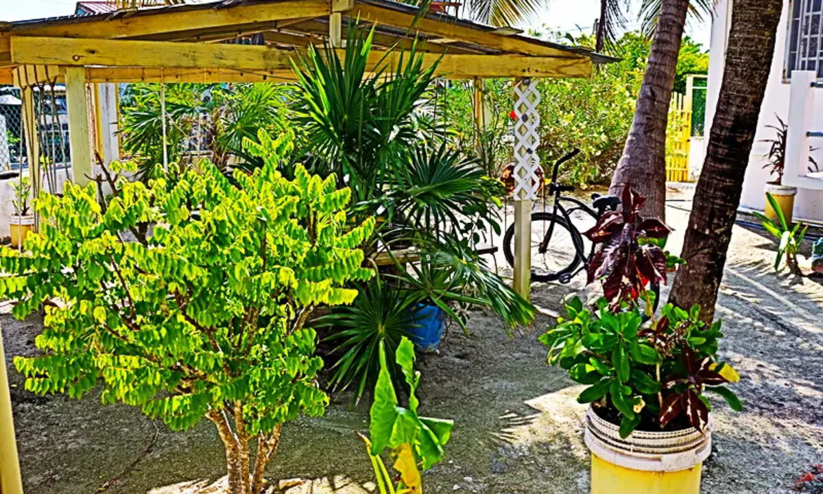 Bay_Breeze_Apartments_007_caye_caulker_belize