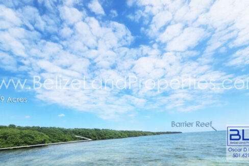 Beachfront-land-for-sale-in-Turneffe-copy-1-835x467