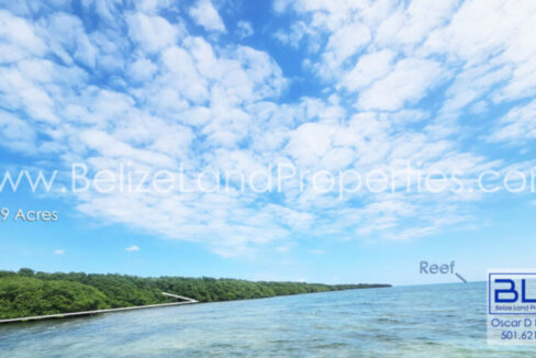 Beachfront-land-for-sale-in-Turneffe-copy-835x467
