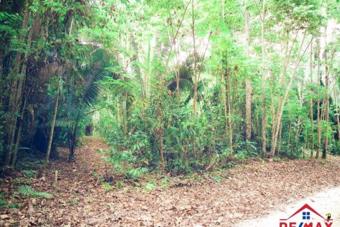 Belize_20Lot_20(1)