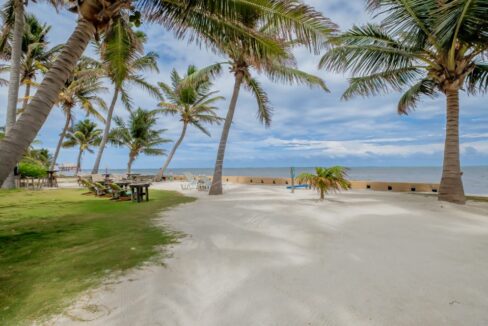Bermuda+Palms+1+2025+-+May_2025+-+LIGH5442-HDR (1)