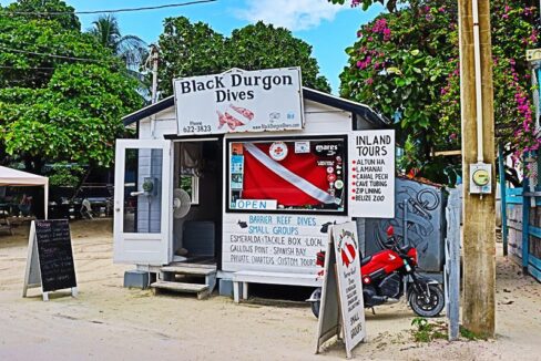 Black_Durgon_Dive_Shop_001_caye_caulker_belize