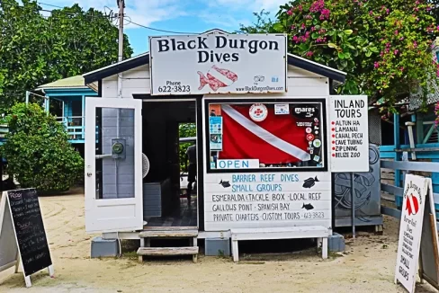 Black_Durgon_Dive_Shop_002_caye_caulker_belize