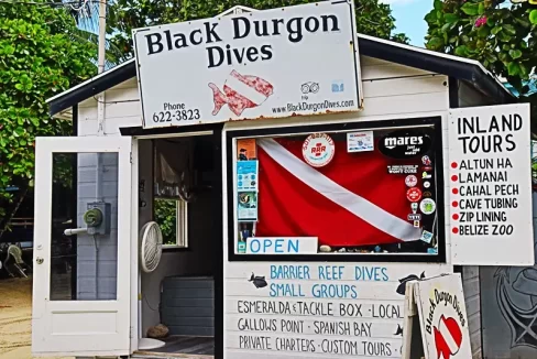 Black_Durgon_Dive_Shop_003_caye_caulker_belize