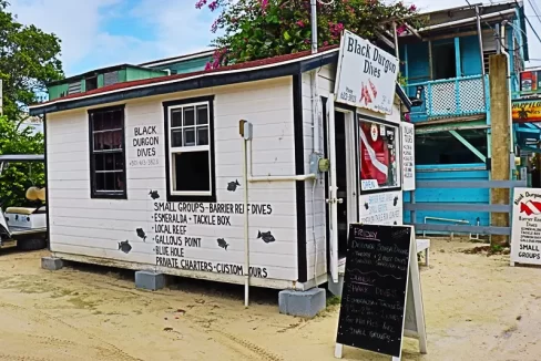 Black_Durgon_Dive_Shop_007_caye_caulker_belize