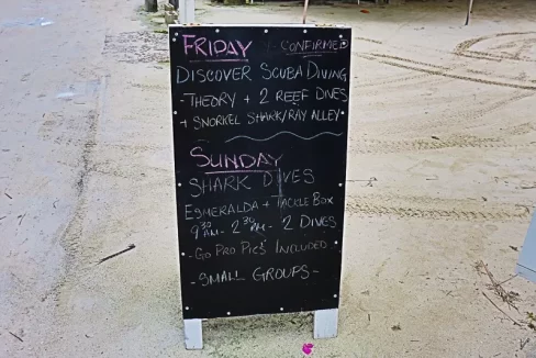Black_Durgon_Dive_Shop_017_caye_caulker_belize