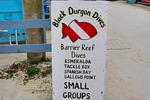 Black_Durgon_Dive_Shop_018_caye_caulker_belize
