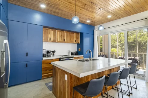Blue-Cabinet-Kitchen-House-2-Arkell-scaled