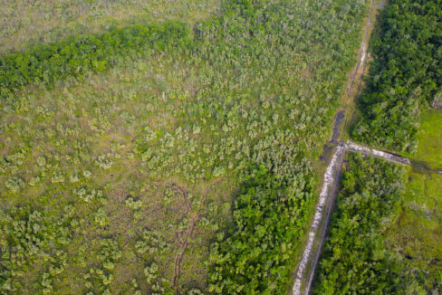 DJI_0038
