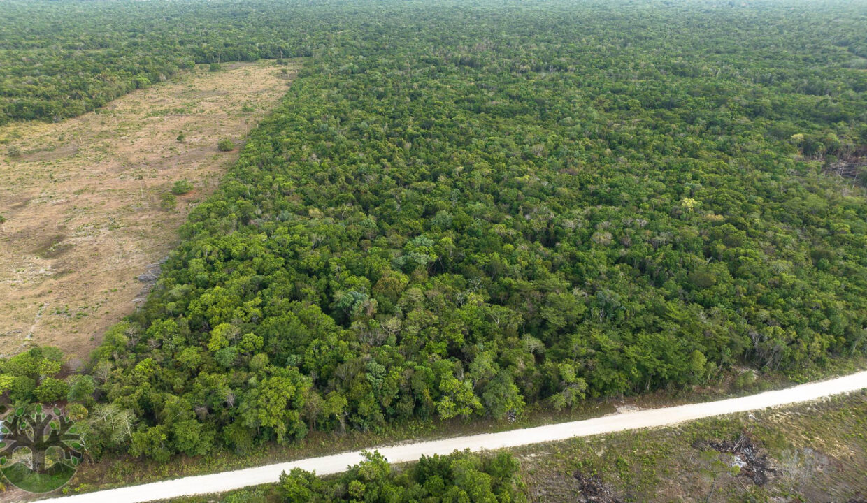 DJI_0054