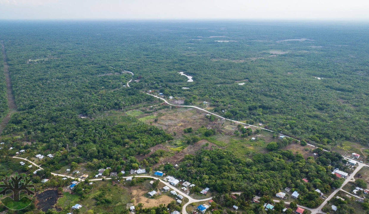 DJI_0133