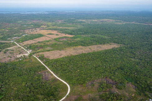 DJI_0137