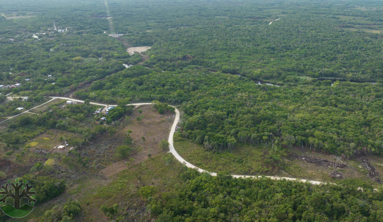 DJI_0159