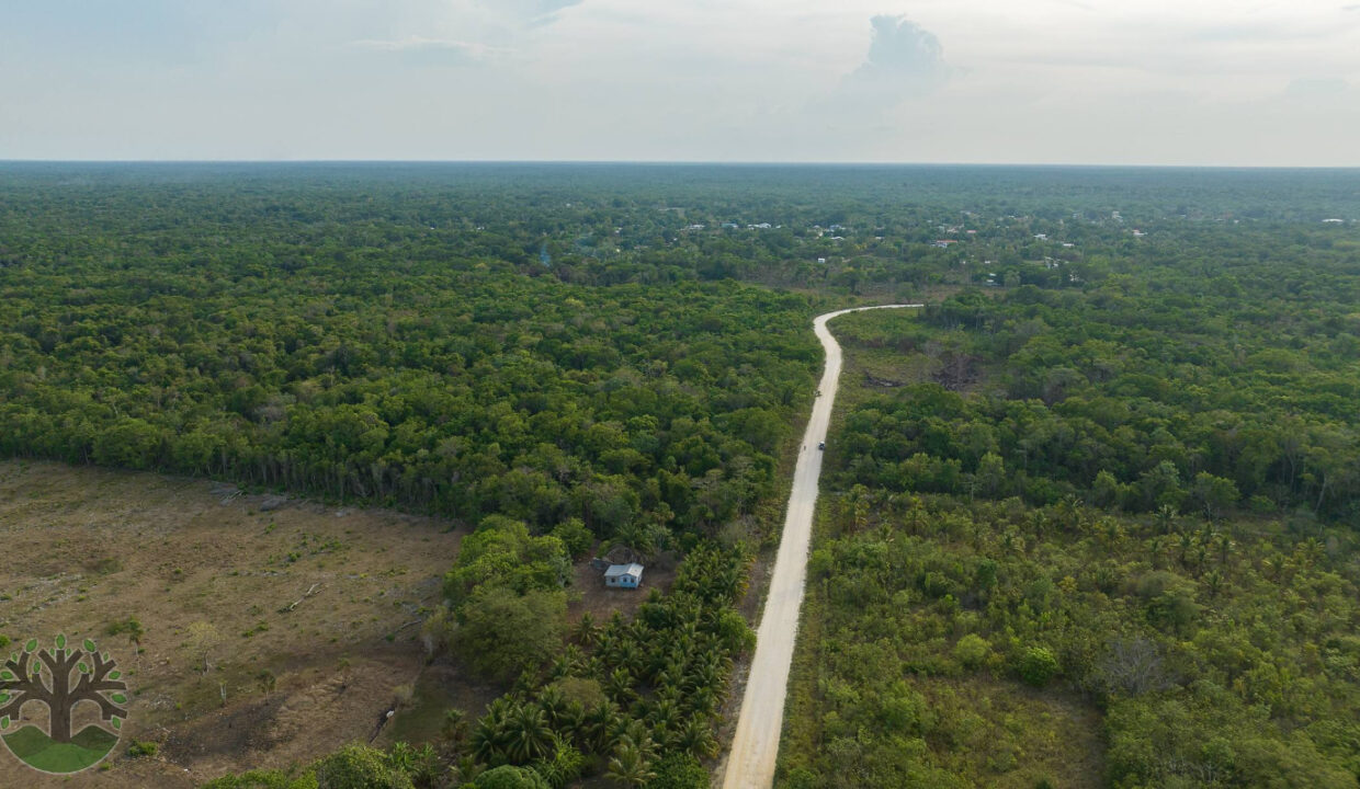 DJI_0168