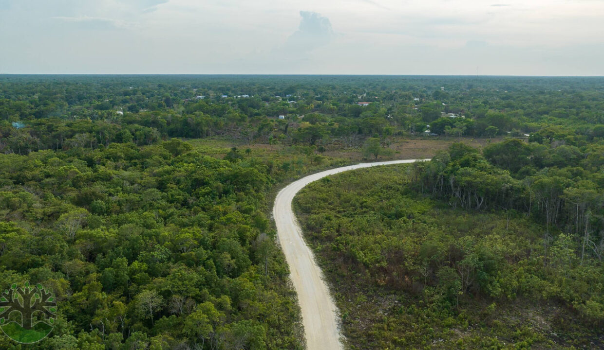 DJI_0175