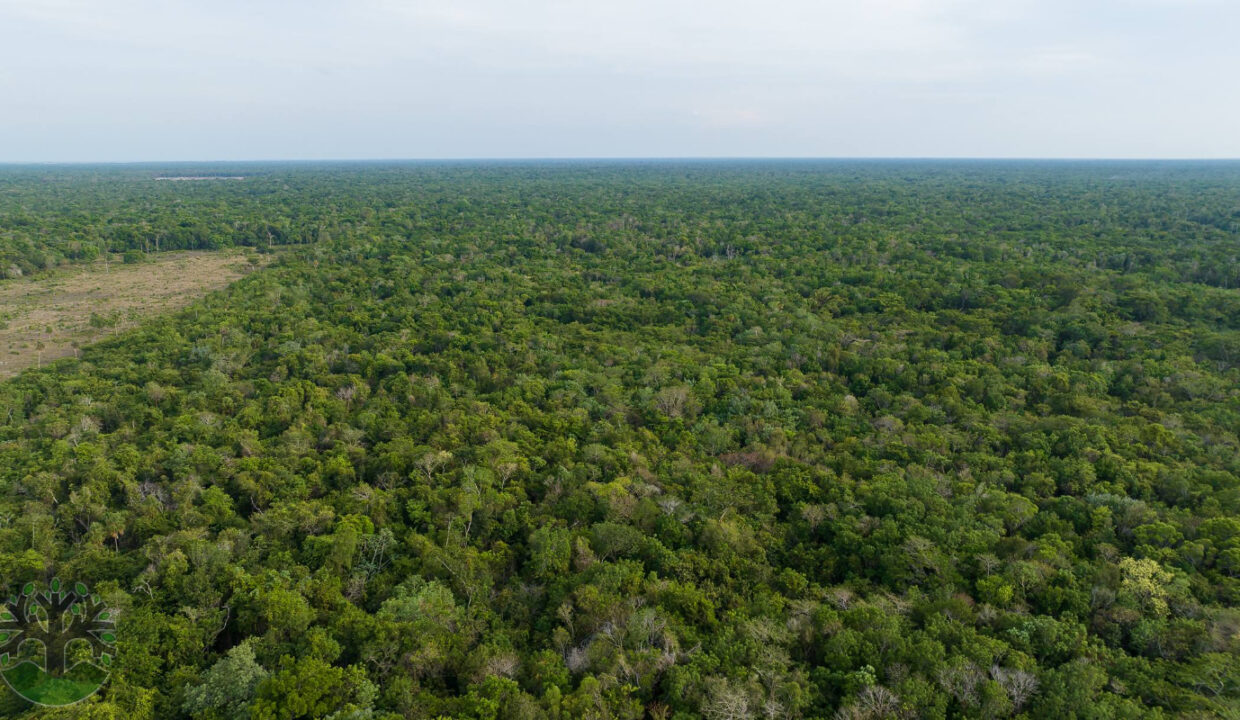 DJI_0177