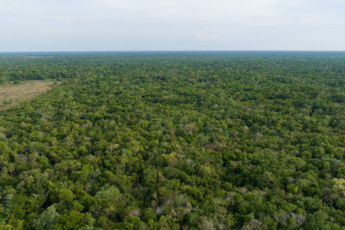 DJI_0177
