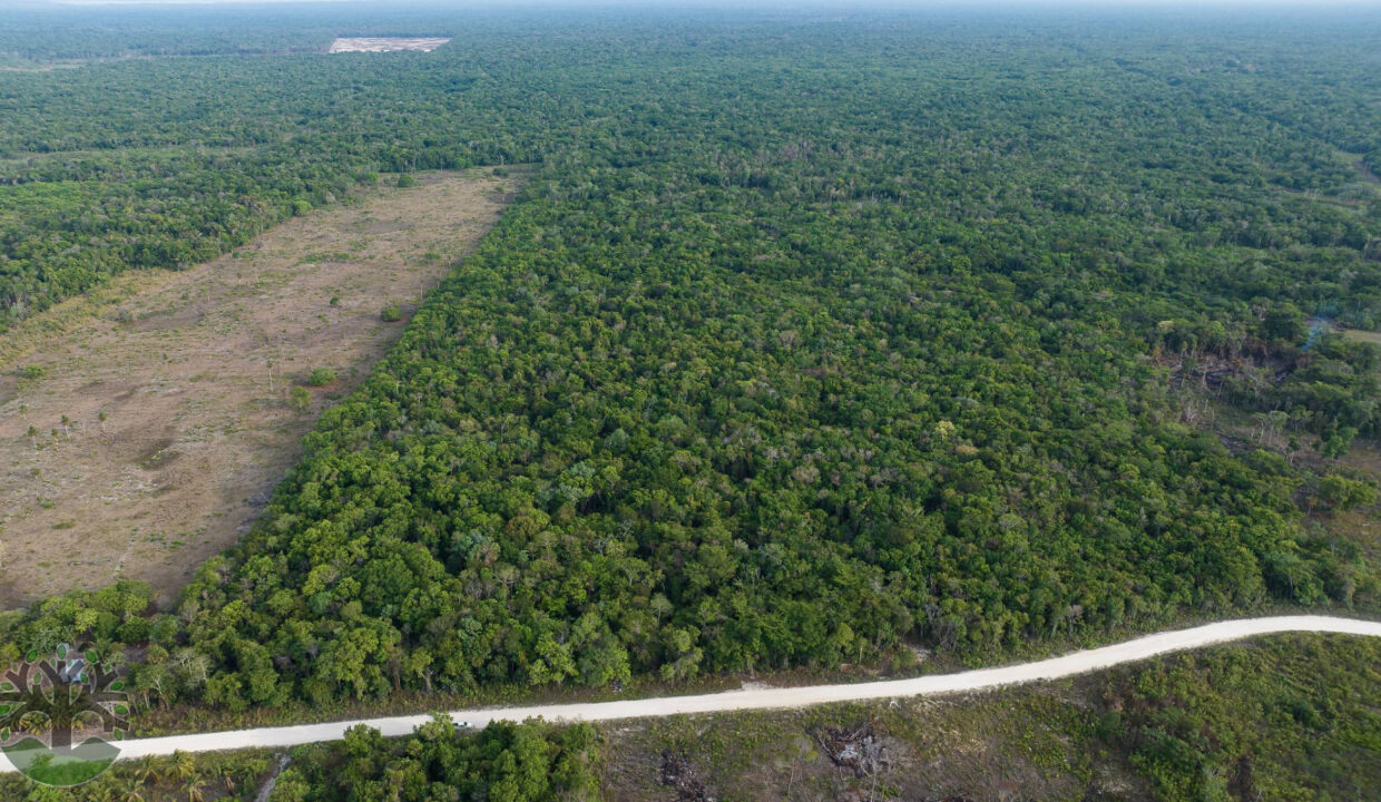 DJI_0181