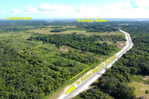 DJI_0186x