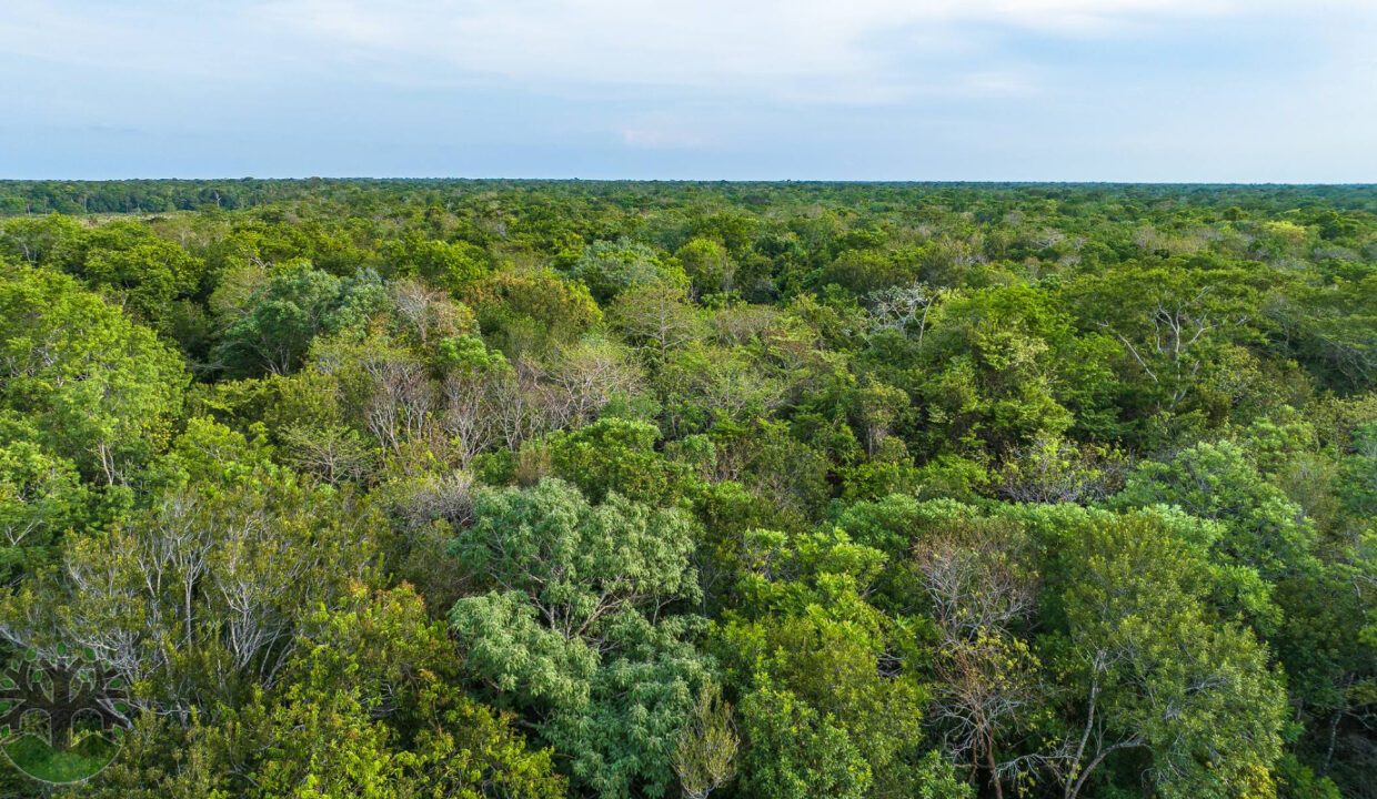 DJI_0205