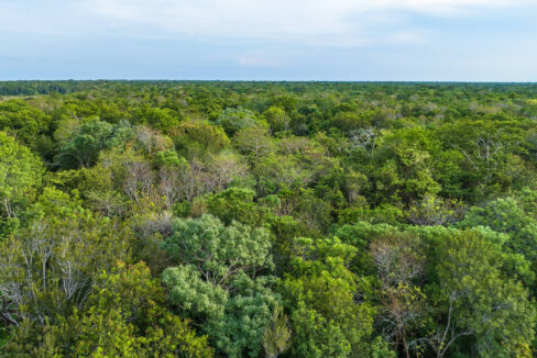DJI_0205